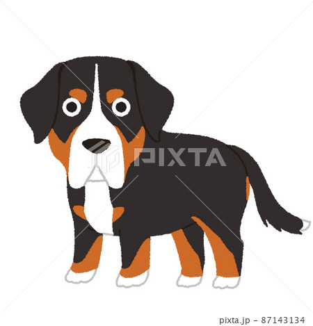 グレータースイスマウンテンドッグの犬イラスト 87143134