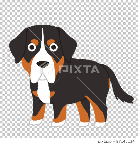 更大的瑞士山狗狗插圖 87143134