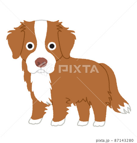 ノヴァスコシアダックトーリングレトリバーの犬イラスト 87143280