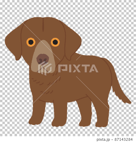 ライフルペーパー ドッグデイズ 犬のイラストの絵 - 絵画送料