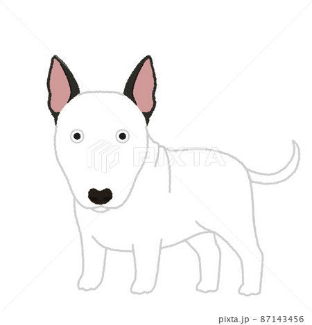 ブルテリアの犬イラスト 87143456