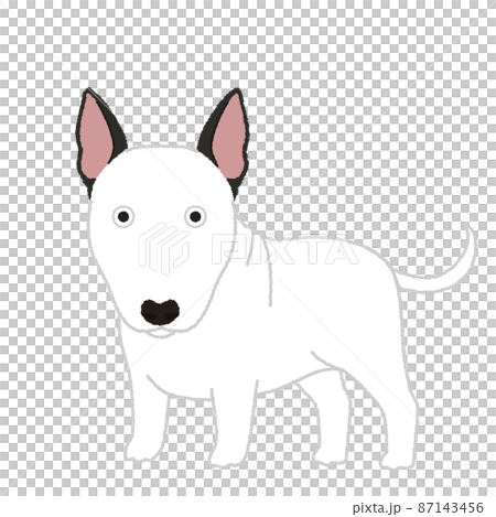 鬥牛梗狗圖 87143456