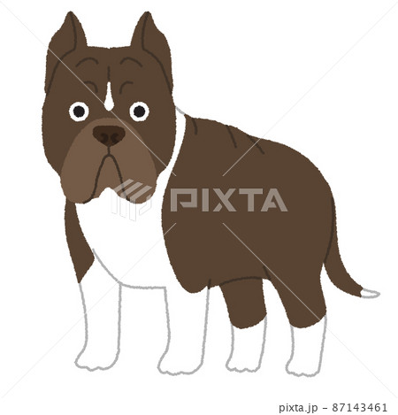 アメリカンピットブルテリアの犬イラスト 87143461