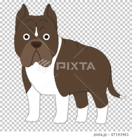 アメリカンピットブルテリアの犬イラスト 87143461