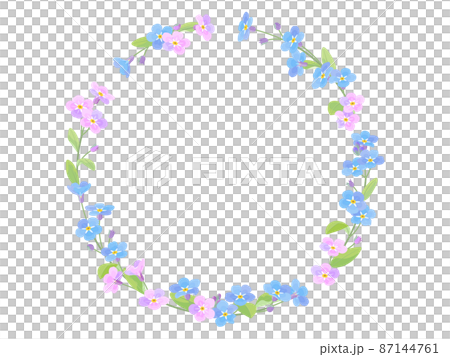 藍色和粉色勿忘我花圈 藍色和粉色勿忘我花圈 87144761