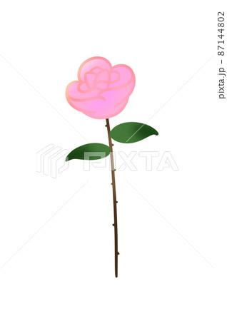 【プレゼント】1輪のピンク色のバラの花【記念日】 【プレゼント】1輪のピンク色のバラの花【記念日】 87144802