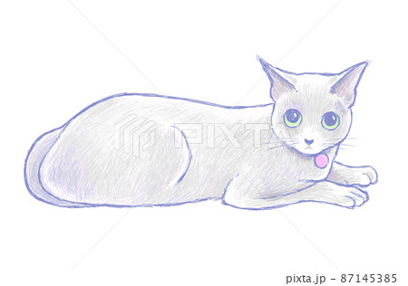 寝そべるロシアンブルーの猫を、繊細なタッチで描いたイラスト。 寝そべるロシアンブルーの猫を、繊細なタッチで描いたイラスト。 87145385