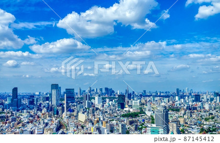 東京風景　渋谷・新宿方面 87145412