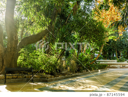 beautiful green park beautiful green park 87145594