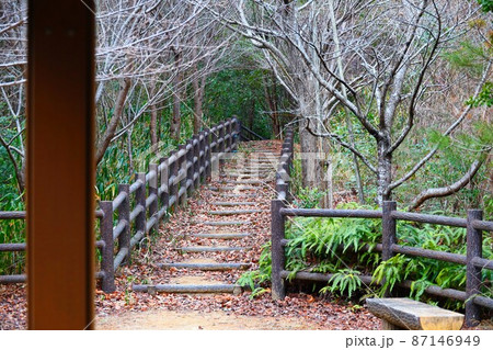 奈良県五條市にある5万人の森公園の風景 87146949