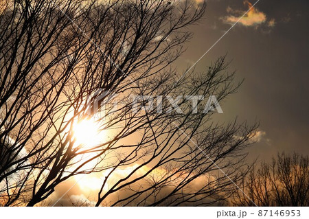 奈良県五條市にある5万人の森公園で見た夕暮れの風景 奈良県五條市にある5万人の森公園で見た夕暮れの風景 87146953