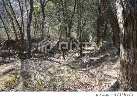 栃木県　足利市　男坂から大岩山毘沙門天へ登る登山道 87146975