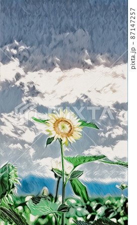 一輪のひまわり 87147257