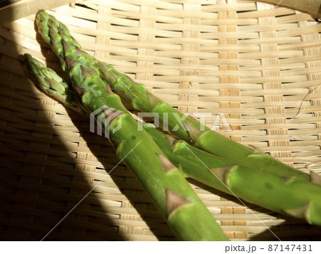アスパラガス アスパラガス 87147431