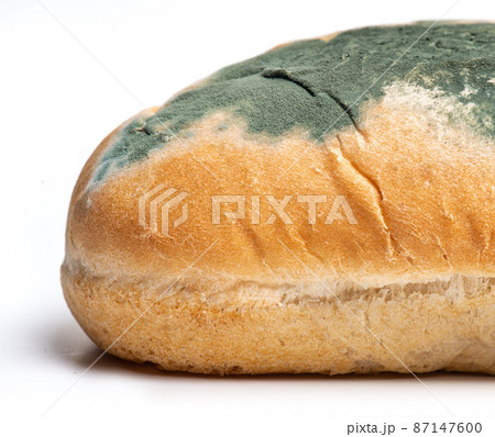 The old mold on the wheat hot-dog bread. Spoiled fast food. Mold on food isolated The old mold on the wheat hot-dog bread. Spoiled fast food. Mold on food isolated 87147600