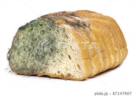 The old mold on the wheat long loaf sliced bread. Spoiled food 87147607