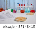 Toxic Report for Rice in Petri Dish - Lab Photo 87148415