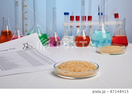 Toxic Report for Rice in Petri Dish - Lab Photo Toxic Report for Rice in Petri Dish - Lab Photo 87148415