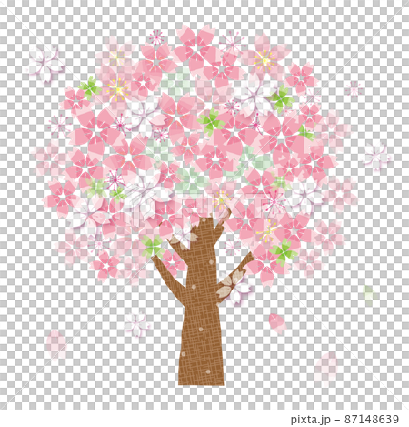 桜の木 散る花びら 春 87148639