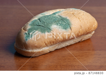 The old mold on the wheat hot-dog bread. Spoiled fast food. The old mold on the wheat hot-dog bread. Spoiled fast food. 87148830