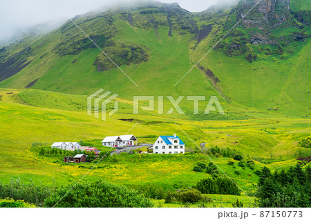 Icelandic landscape with high mountain and blooming yellow flower field. Icelandic landscape with high mountain and blooming yellow flower field. 87150773