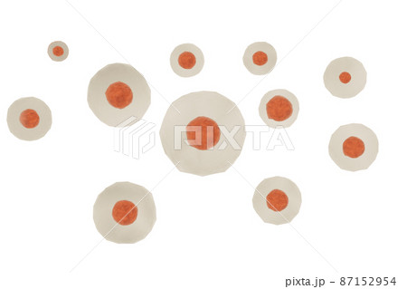 動物細胞のイメージ 動物細胞のイメージ 87152954