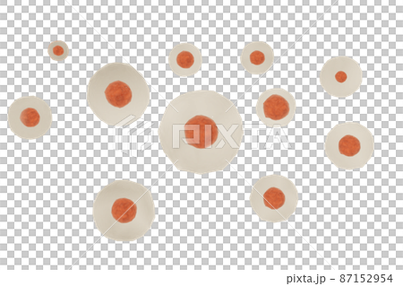 動物細胞のイメージ 動物細胞のイメージ 87152954