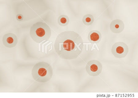 動物細胞のイメージ 動物細胞のイメージ 87152955