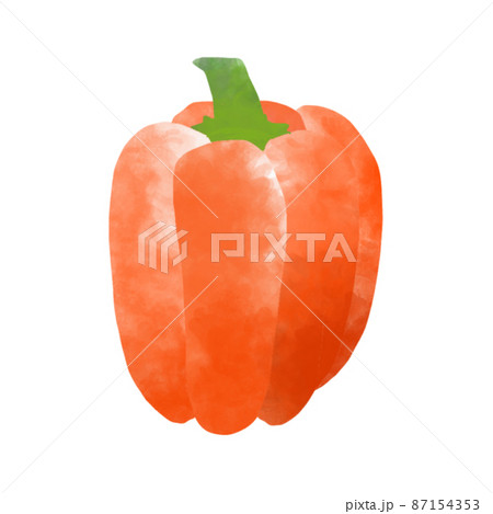 断面　野菜　オレンジパプリカ　水彩風イラスト 87154353