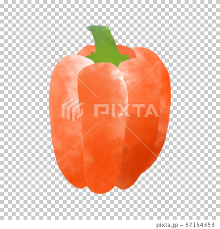 断面　野菜　オレンジパプリカ　水彩風イラスト 87154353