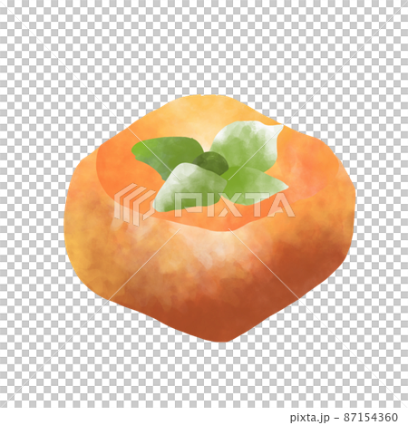 水果柿子水彩風格插畫 水果柿子水彩風格插畫 87154360