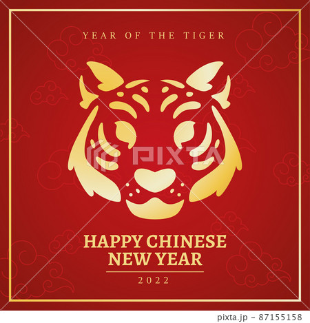Red chinese new year template abstract tiger face Vector Red chinese new year template abstract tiger face Vector 87155158