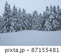 雪景色 87155481
