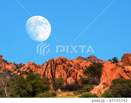 Desert Moon 87155742