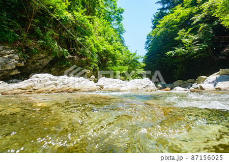 尾白川渓谷（夏） 87156025