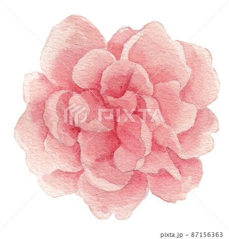 Watercolor with tropical elements. Leaves, red for printing on fabrics, dishes, prints, clothing, postcards, mugs. Flower set with watercolor elements with flowers and leaves. Watercolor with tropical elements. Leaves, red for printing on fabrics, dishes, prints, clothing, postcards, mugs. Flower set with watercolor elements with flowers and leaves. 87156363