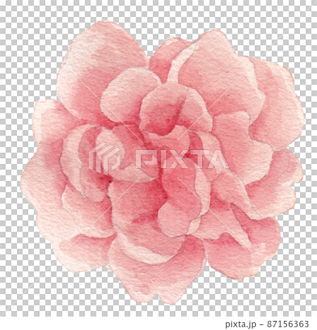 Watercolor with tropical elements. Leaves, red for printing on fabrics, dishes, prints, clothing, postcards, mugs. Flower set with watercolor elements with flowers and leaves. Watercolor with tropical elements. Leaves, red for printing on fabrics, dishes, prints, clothing, postcards, mugs. Flower set with watercolor elements with flowers and leaves. 87156363