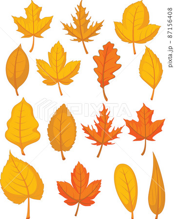 fall leaves cartoon
