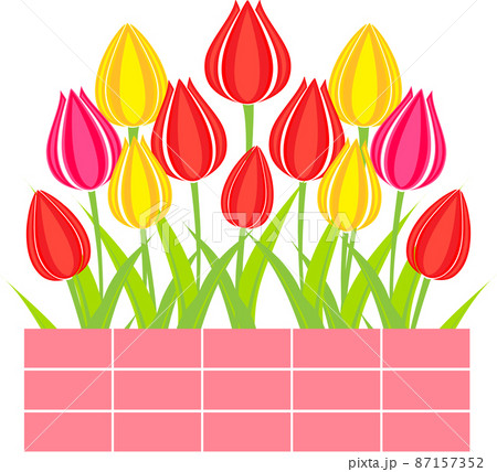 春らしいチューリップの花とピンクの花壇のイラスト素材のイラスト素材