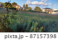 田舎 87157398
