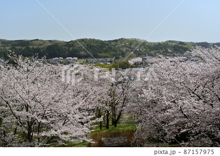 越生町さくらの山公園頂上部から市街地望む 越生町さくらの山公園頂上部から市街地望む 87157975