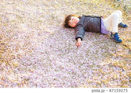 桜絨毯でゴロン 87159275