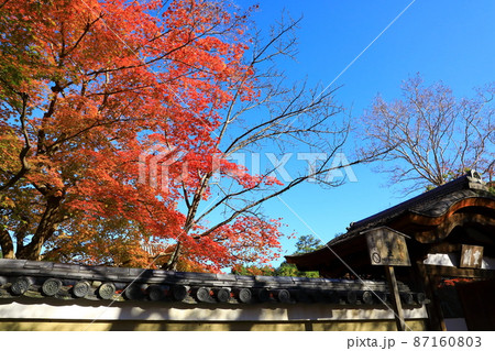 秋の高台寺 紅葉風景 秋の高台寺 紅葉風景 87160803