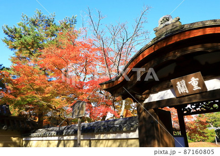 秋の高台寺 紅葉風景 秋の高台寺 紅葉風景 87160805
