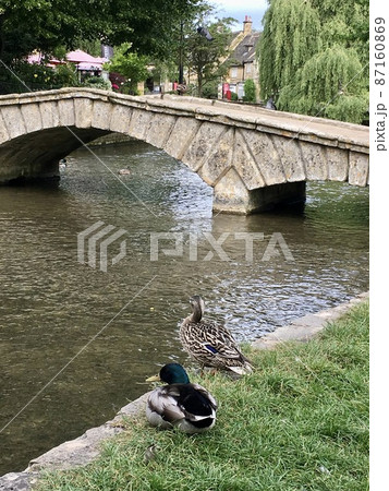 イギリス コッツウォルズ ボートン・オン・ザ・ウォーターと つがいのマガモ イギリス コッツウォルズ ボートン・オン・ザ・ウォーターと つがいのマガモ 87160869