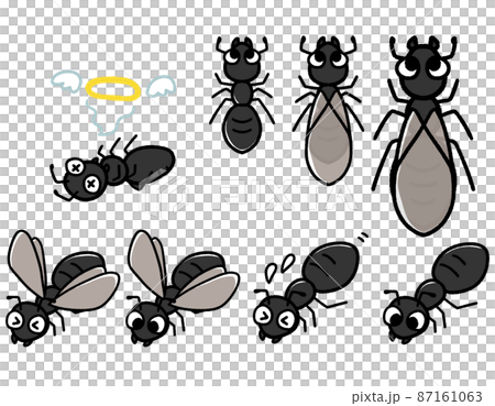 かわいいクロアリのキャラクター セット かわいいクロアリのキャラクター セット 87161063