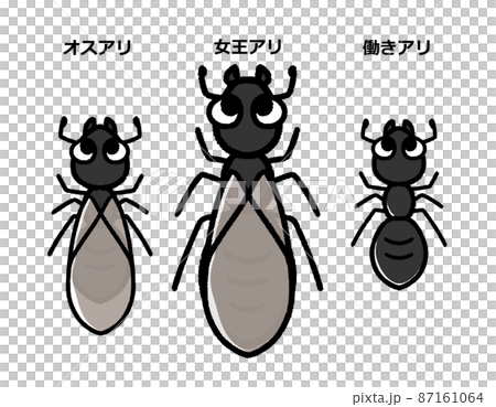 かわいいクロアリのキャラクター セットのイラスト素材