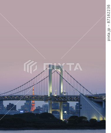 お台場　レインボーブリッジ　夜景　お台場海浜公園 87162236