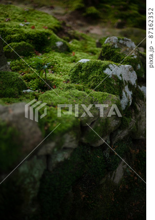 苔の絨毯に覆われた石｜緑と黒のコントラストが美しい日本の美 87162352
