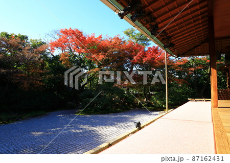 京都・東山 圓徳院 紅葉風景 京都・東山 圓徳院 紅葉風景 87162431